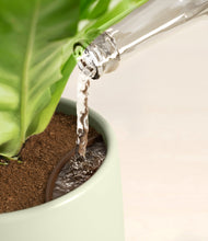 Load image into Gallery viewer, Earthy
