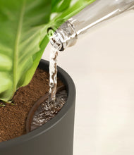 Load image into Gallery viewer, Calm Clay
