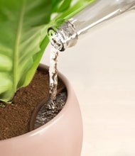 Load image into Gallery viewer, Evening Sky stand:all
