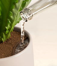 Load image into Gallery viewer, Eternal Gray stand:all
