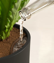 Load image into Gallery viewer, Black
