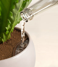 Load image into Gallery viewer, Winding River
