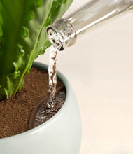 Load image into Gallery viewer, Patina
