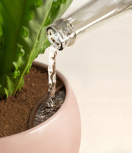 Load image into Gallery viewer, Evening Sky
