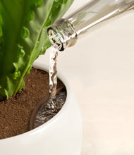 Load image into Gallery viewer, Woodland stand:all
