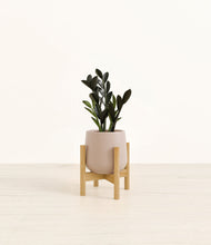 Load image into Gallery viewer, Eternal Gray stand:bamboo
