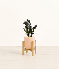Load image into Gallery viewer, Gentle Pink stand:bamboo
