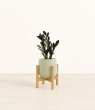 Load image into Gallery viewer, Turquoise stand:bamboo
