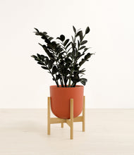 Load image into Gallery viewer, Earth Red stand:bamboo
