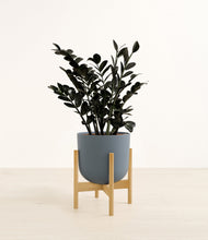 Load image into Gallery viewer, Iron Gray stand:bamboo
