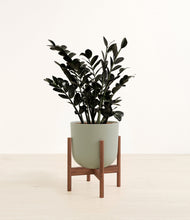 Load image into Gallery viewer, Sage Green stand:walnut
