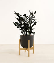 Load image into Gallery viewer, Stone Black stand:bamboo
