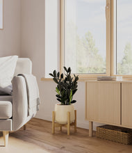 Load image into Gallery viewer, Almond Green stand:bamboo
