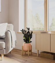 Load image into Gallery viewer, Calm Rose stand:bamboo
