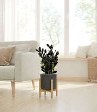 Load image into Gallery viewer, Dark Olive stand:bamboo
