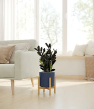 Load image into Gallery viewer, Deep Navy stand:bamboo
