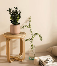 Load image into Gallery viewer, Gentle Pink
