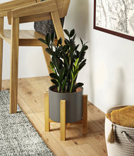 Load image into Gallery viewer, Dark Olive stand:light
