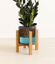 Load image into Gallery viewer, Deep Navy stand:light
