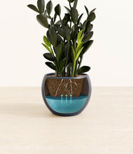 Load image into Gallery viewer, Deep Navy
