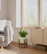 Load image into Gallery viewer, Turquoise stand:walnut
