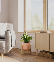 Load image into Gallery viewer, Calm Rose stand:bamboo
