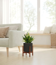 Load image into Gallery viewer, Black stand:walnut
