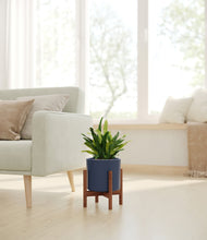 Load image into Gallery viewer, Deep Navy stand:walnut
