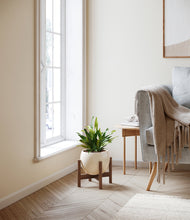 Load image into Gallery viewer, Shiny EggWhite stand:walnut
