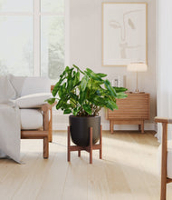 Load image into Gallery viewer, Stone Black stand:walnut
