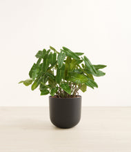 Load image into Gallery viewer, Stone Black*****Profile
