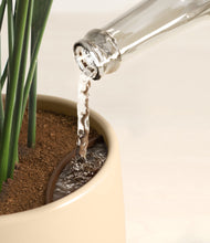 Load image into Gallery viewer, Almond Green stand:all
