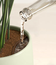 Load image into Gallery viewer, Turquoise stand:all
