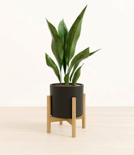 Load image into Gallery viewer, Black stand:bamboo
