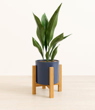 Load image into Gallery viewer, Deep Navy stand:light
