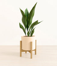 Load image into Gallery viewer, Cream stand:bamboo
