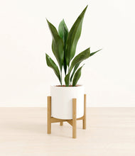 Load image into Gallery viewer, White stand:bamboo
