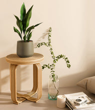 Load image into Gallery viewer, Olive
