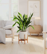 Load image into Gallery viewer, Natural Bamboo stand:bamboo
