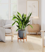 Load image into Gallery viewer, Iron Gray stand:bamboo
