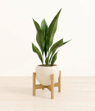 Load image into Gallery viewer, Shiny EggWhite stand:bamboo
