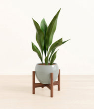 Load image into Gallery viewer, Deep Ocean stand:walnut
