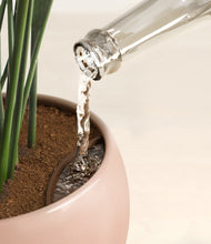 Load image into Gallery viewer, Calm Rose stand:all
