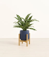 Load image into Gallery viewer, Deep Navy stand:bamboo
