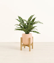 Load image into Gallery viewer, Gentle Pink stand:bamboo
