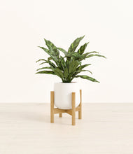 Load image into Gallery viewer, White stand:bamboo
