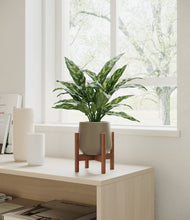 Load image into Gallery viewer, Olive stand:walnut
