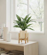 Load image into Gallery viewer, Almond Green stand:bamboo
