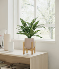 Load image into Gallery viewer, Eternal Gray stand:bamboo
