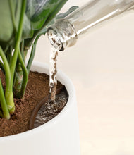 Load image into Gallery viewer, White stand:all
